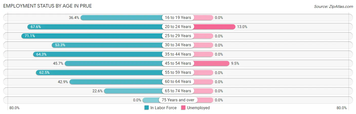 Employment Status by Age in Prue