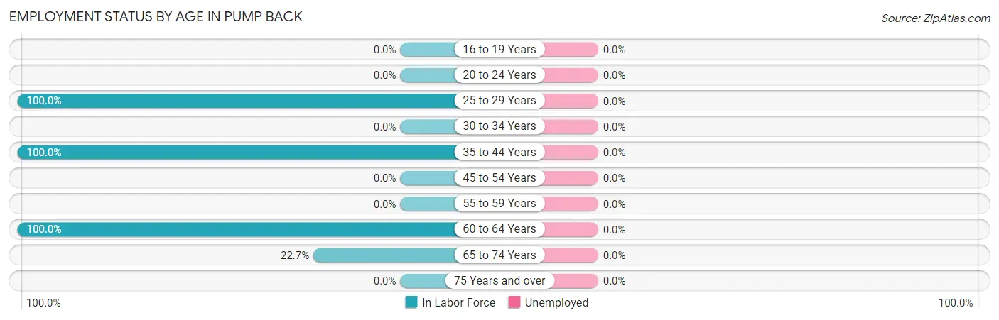 Employment Status by Age in Pump Back