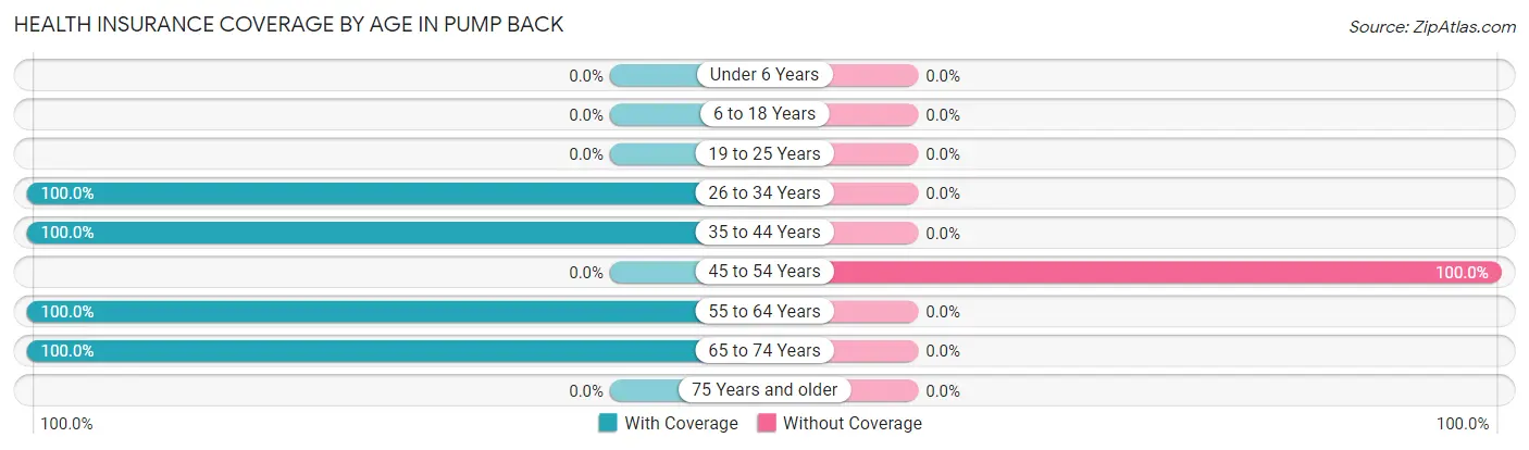 Health Insurance Coverage by Age in Pump Back