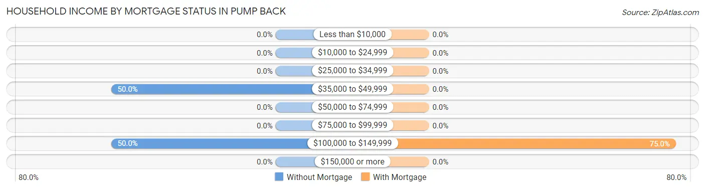 Household Income by Mortgage Status in Pump Back