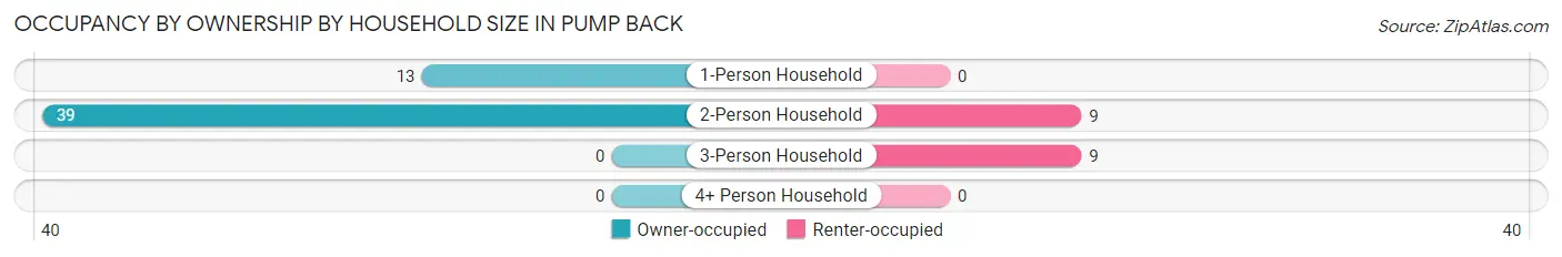 Occupancy by Ownership by Household Size in Pump Back