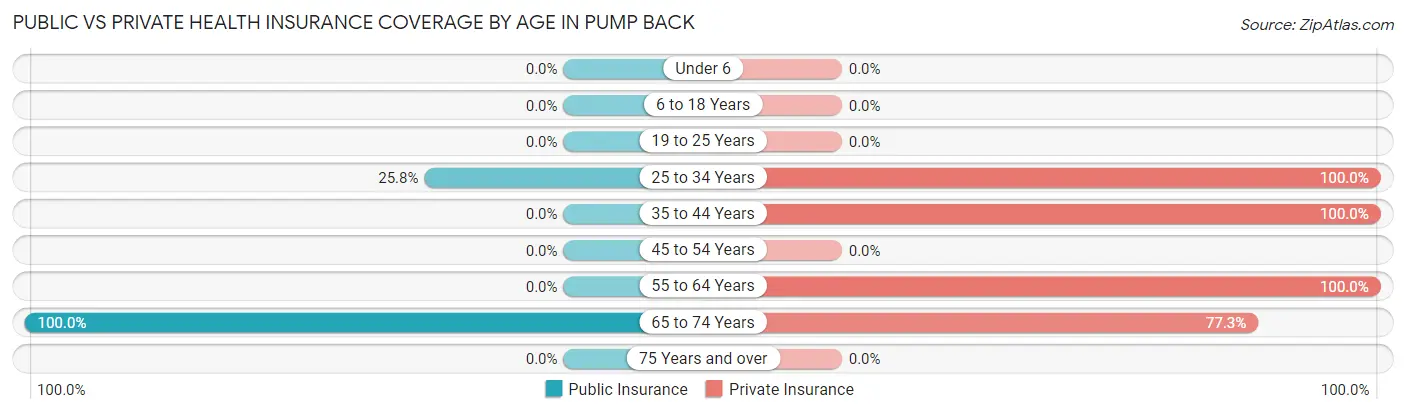 Public vs Private Health Insurance Coverage by Age in Pump Back