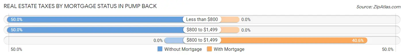Real Estate Taxes by Mortgage Status in Pump Back