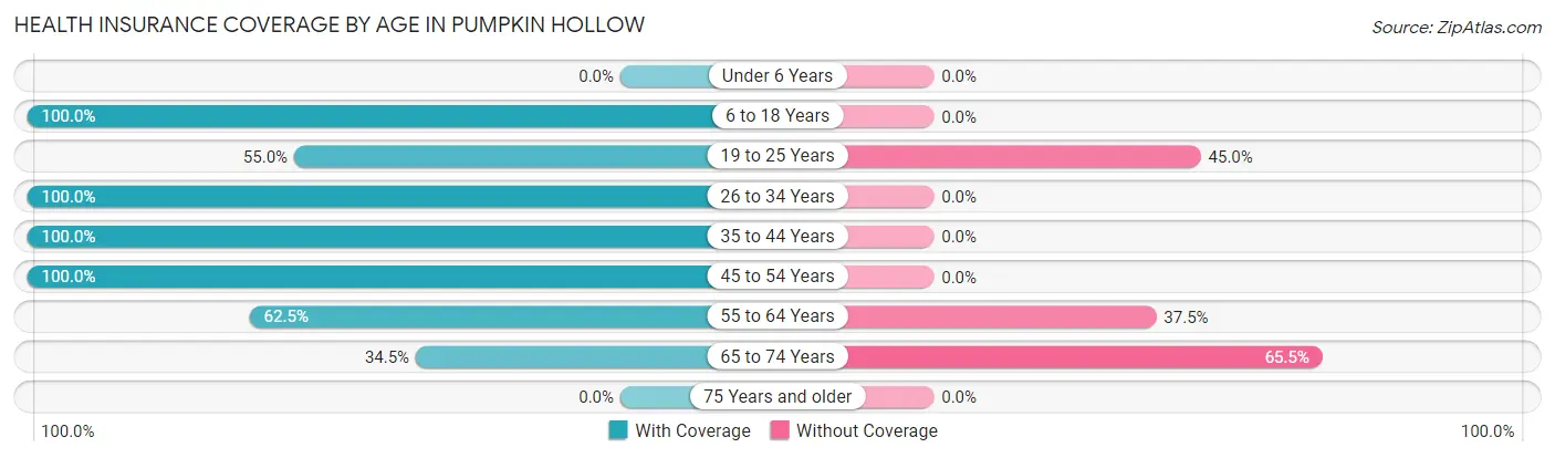 Health Insurance Coverage by Age in Pumpkin Hollow