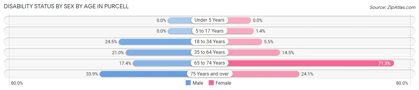 Disability Status by Sex by Age in Purcell