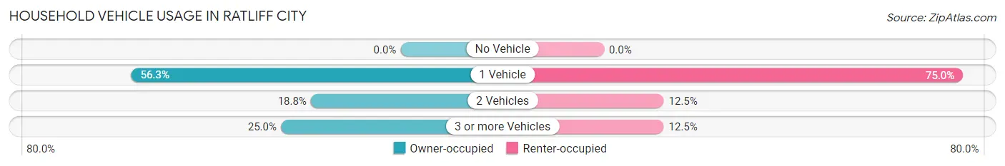 Household Vehicle Usage in Ratliff City
