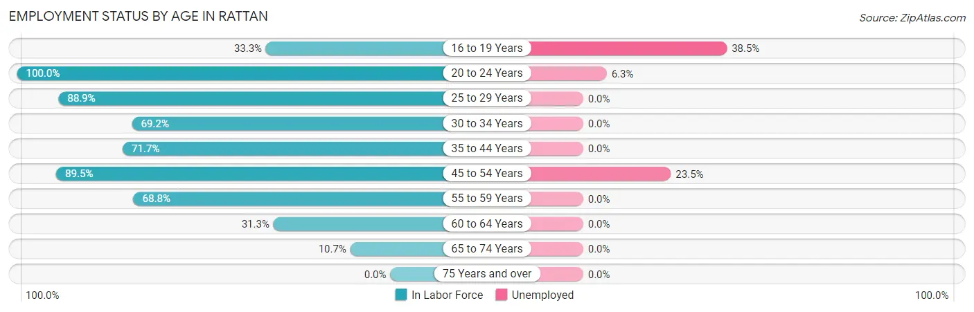 Employment Status by Age in Rattan
