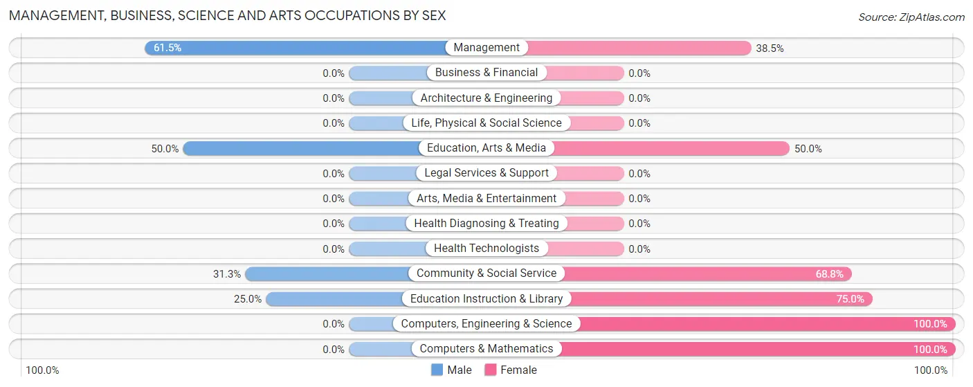 Management, Business, Science and Arts Occupations by Sex in Rattan