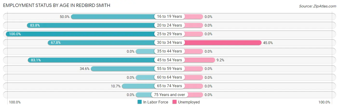 Employment Status by Age in Redbird Smith