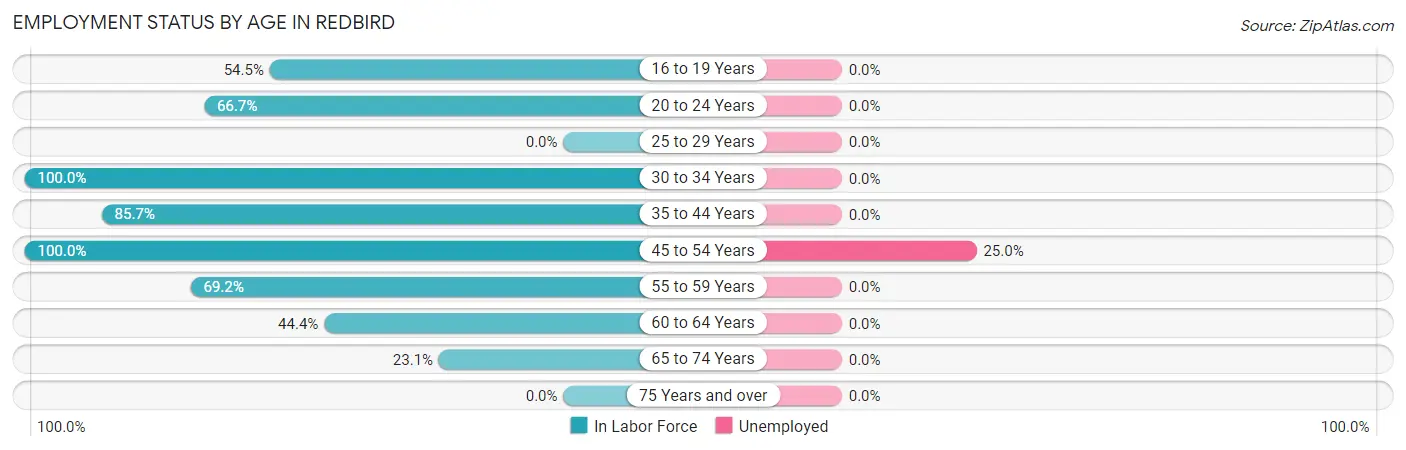 Employment Status by Age in Redbird