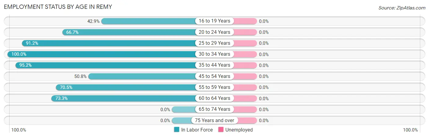 Employment Status by Age in Remy