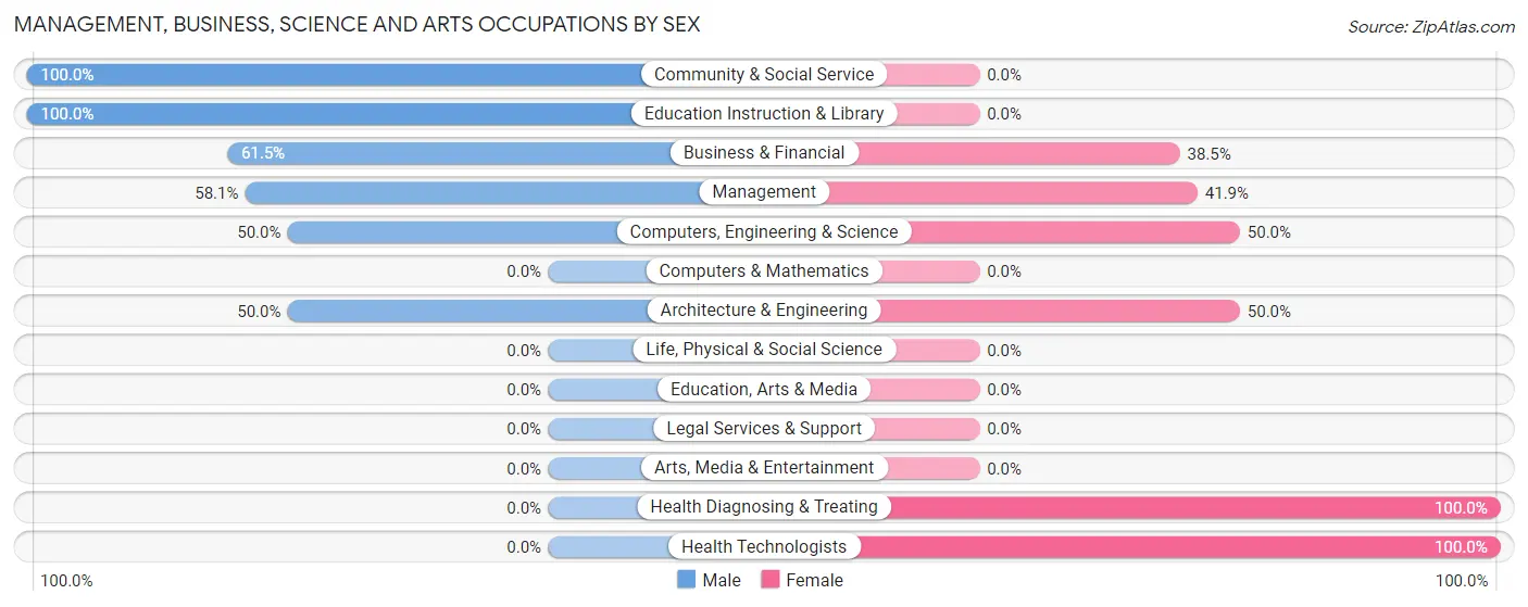 Management, Business, Science and Arts Occupations by Sex in Remy
