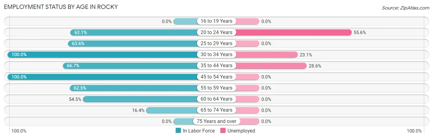 Employment Status by Age in Rocky