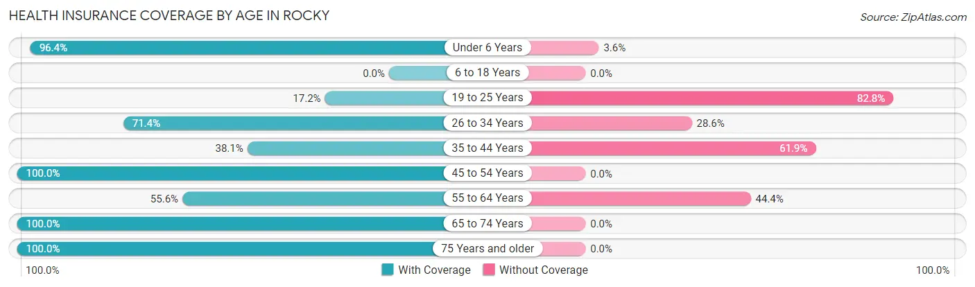 Health Insurance Coverage by Age in Rocky
