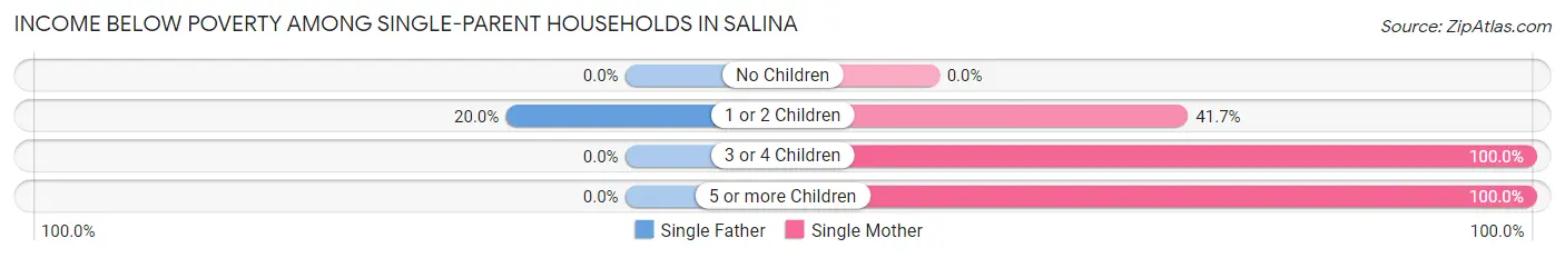 Income Below Poverty Among Single-Parent Households in Salina