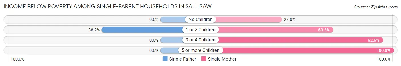 Income Below Poverty Among Single-Parent Households in Sallisaw