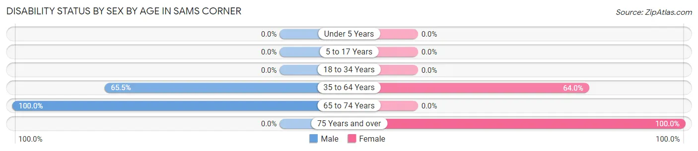Disability Status by Sex by Age in Sams Corner