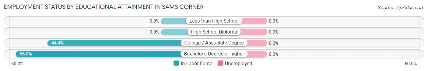 Employment Status by Educational Attainment in Sams Corner