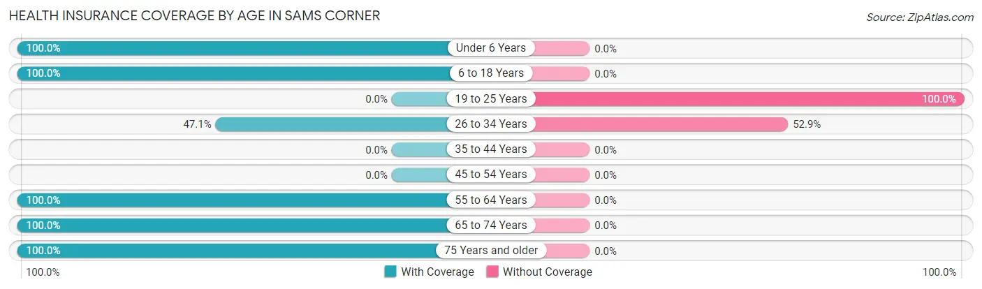 Health Insurance Coverage by Age in Sams Corner
