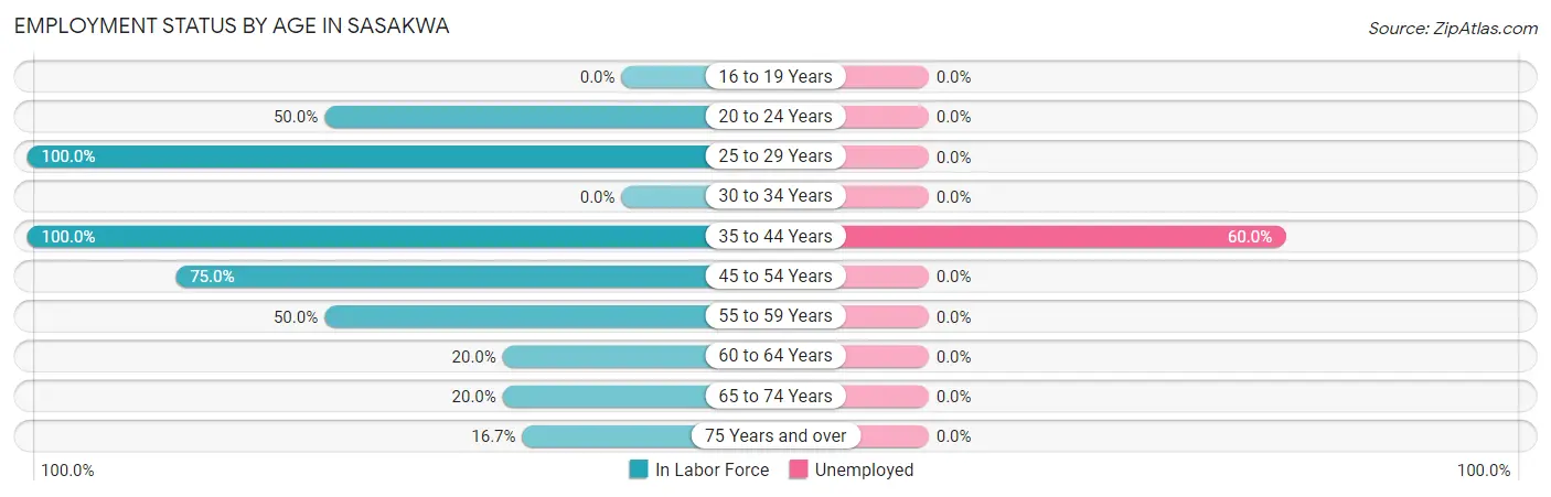 Employment Status by Age in Sasakwa