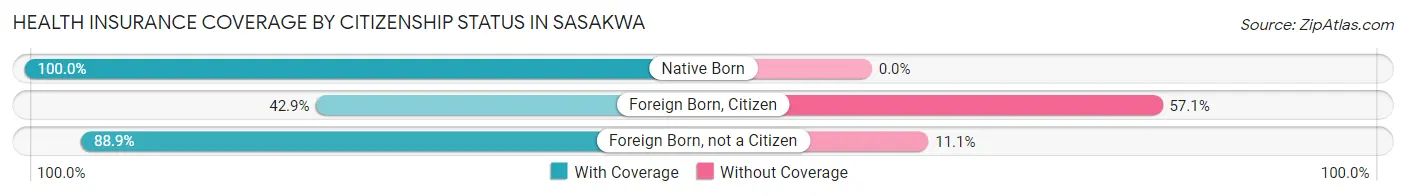 Health Insurance Coverage by Citizenship Status in Sasakwa
