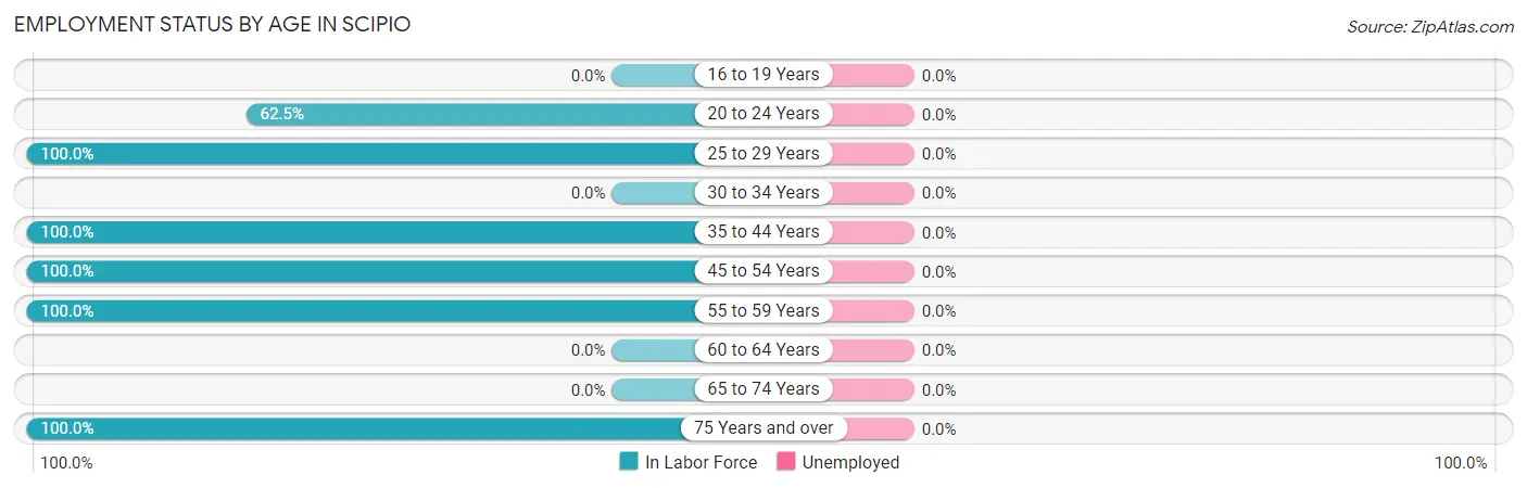 Employment Status by Age in Scipio