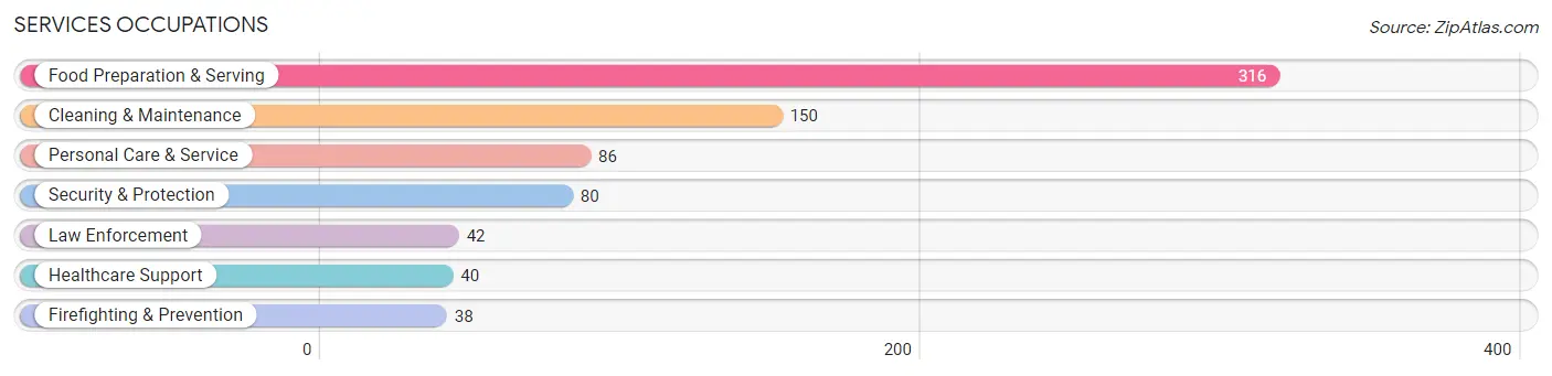 Services Occupations in Seminole