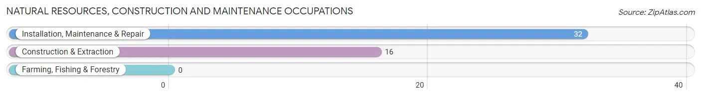 Natural Resources, Construction and Maintenance Occupations in Shady Point