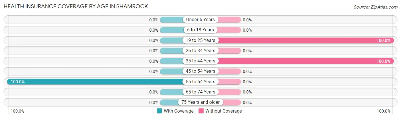 Health Insurance Coverage by Age in Shamrock