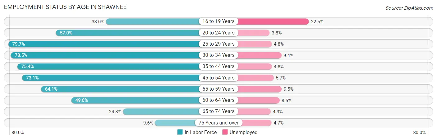 Employment Status by Age in Shawnee