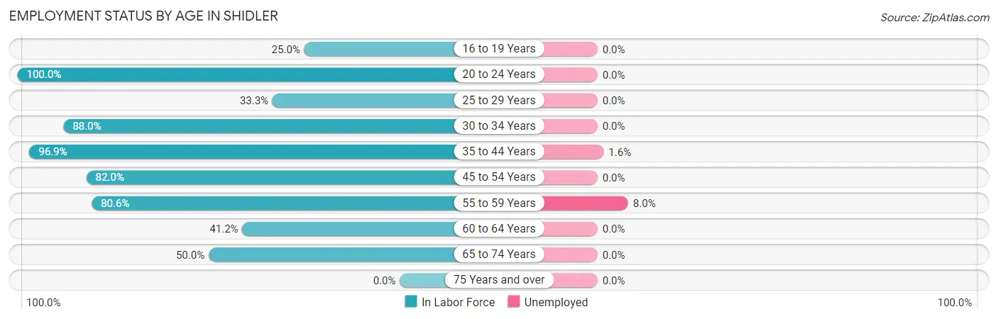 Employment Status by Age in Shidler