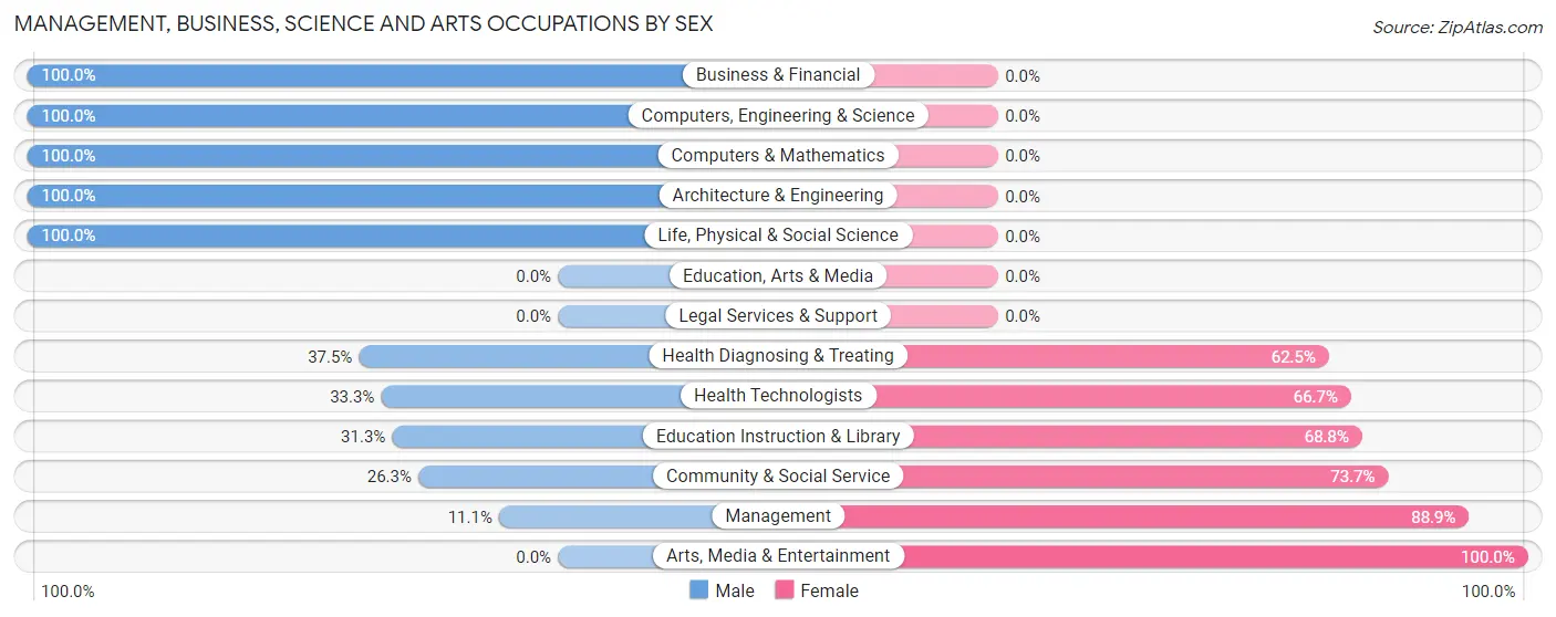 Management, Business, Science and Arts Occupations by Sex in Shidler