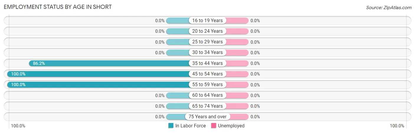 Employment Status by Age in Short
