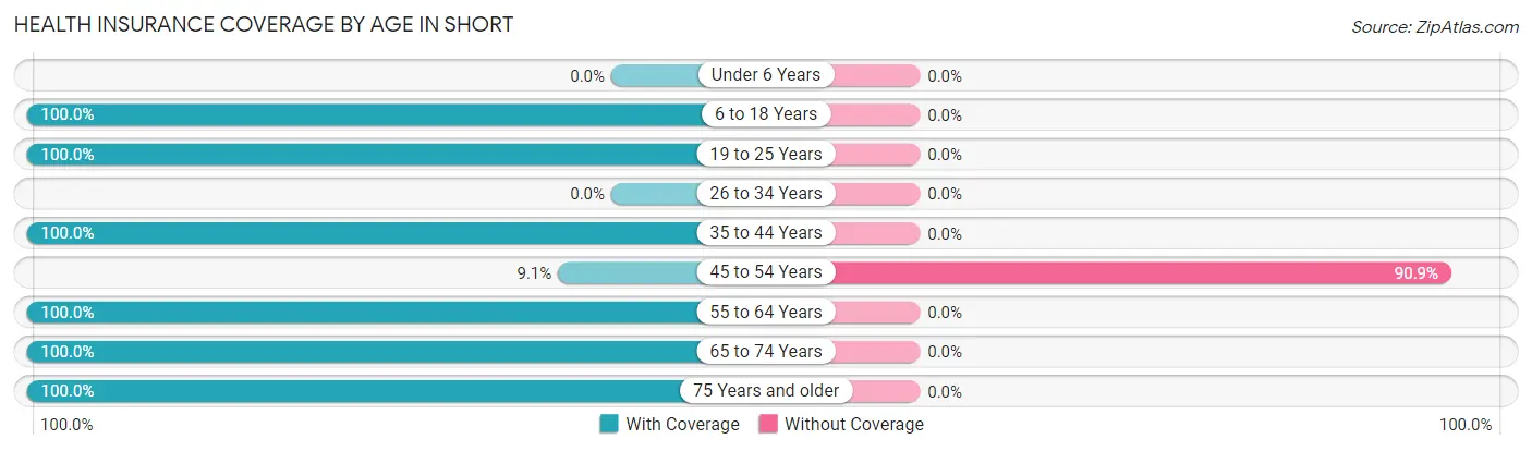 Health Insurance Coverage by Age in Short