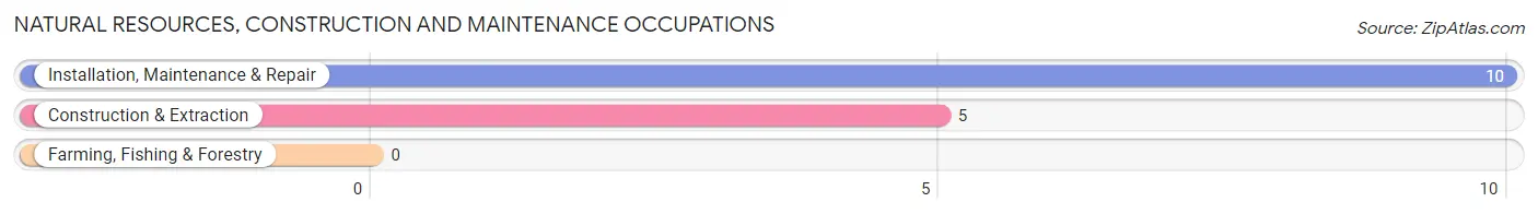 Natural Resources, Construction and Maintenance Occupations in Silo