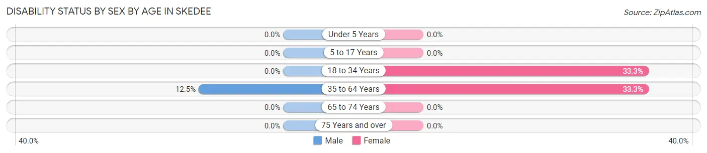 Disability Status by Sex by Age in Skedee