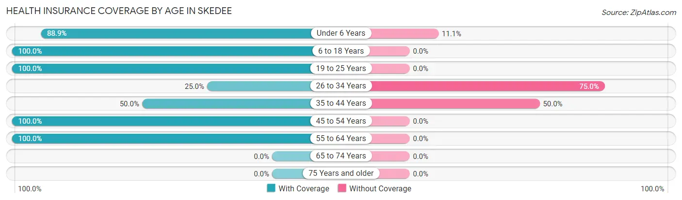 Health Insurance Coverage by Age in Skedee