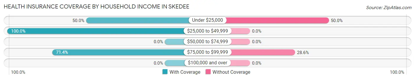 Health Insurance Coverage by Household Income in Skedee