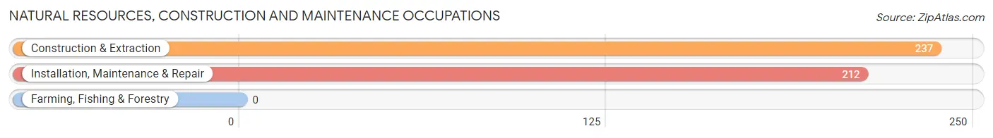 Natural Resources, Construction and Maintenance Occupations in Skiatook