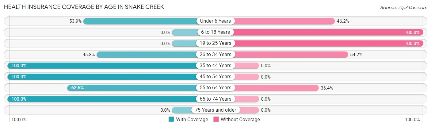Health Insurance Coverage by Age in Snake Creek