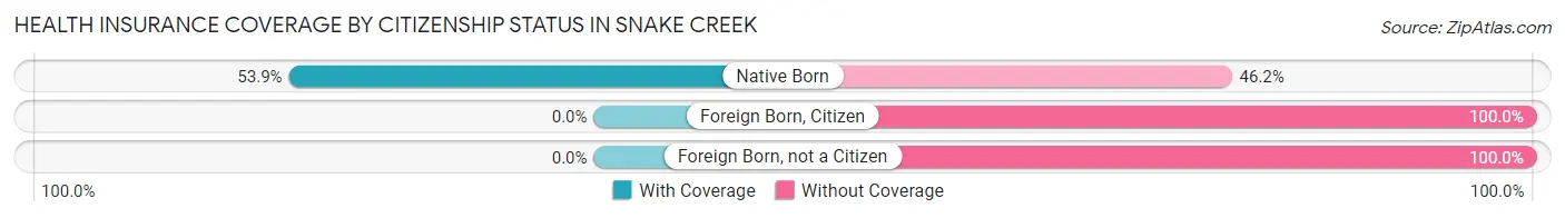 Health Insurance Coverage by Citizenship Status in Snake Creek
