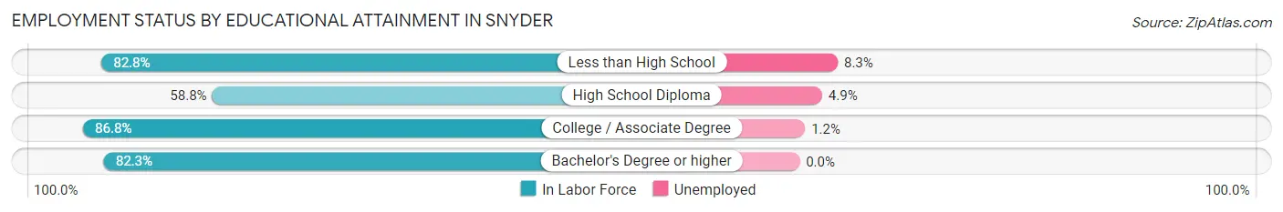 Employment Status by Educational Attainment in Snyder