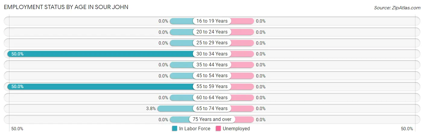 Employment Status by Age in Sour John