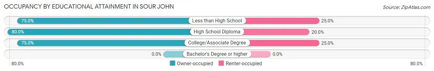 Occupancy by Educational Attainment in Sour John