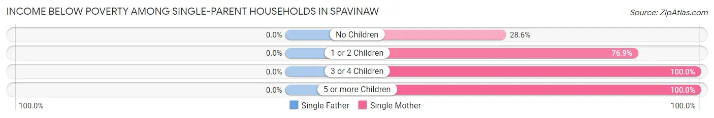 Income Below Poverty Among Single-Parent Households in Spavinaw