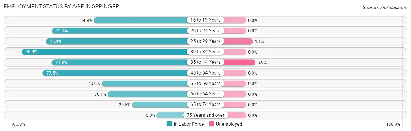 Employment Status by Age in Springer