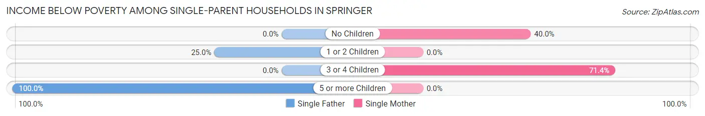 Income Below Poverty Among Single-Parent Households in Springer