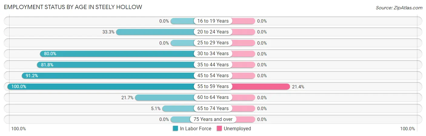 Employment Status by Age in Steely Hollow
