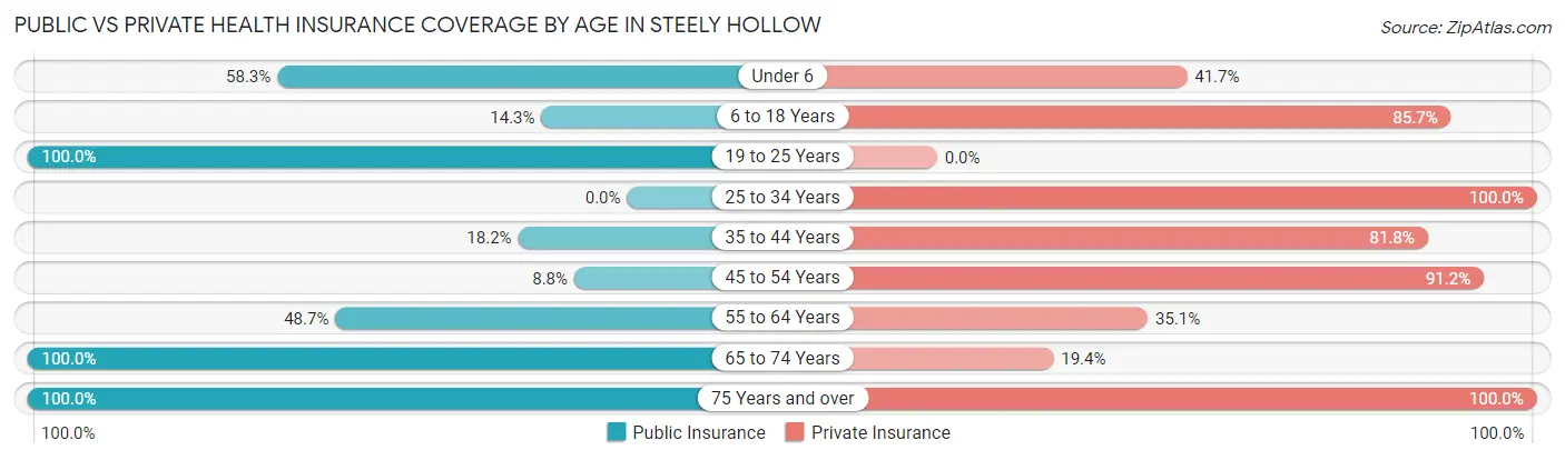Public vs Private Health Insurance Coverage by Age in Steely Hollow