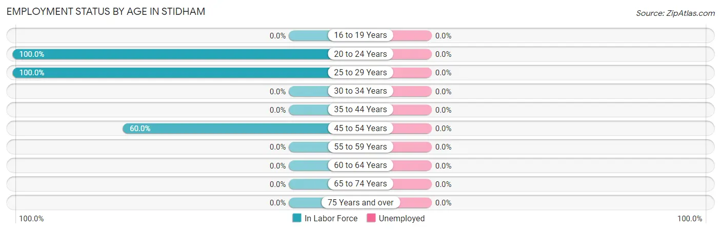 Employment Status by Age in Stidham
